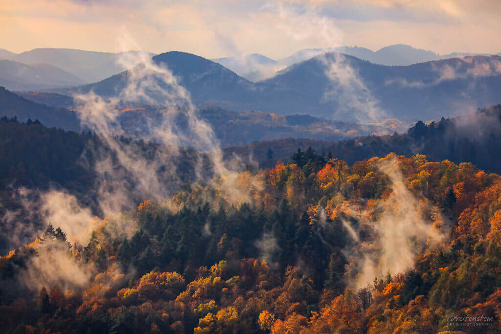Photo of a mountain-scape in autumn. In the foreground, orange-leafed trees and pines are producing humid clouds that wisp upwards, while the background is a series of blue mountain ranges.