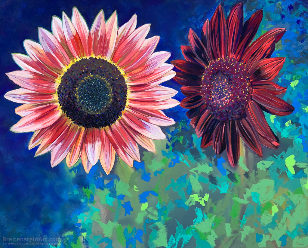 Work-in-progress pastel painting of two sunflowers. The left blossom is pink and "looks" straight ahead. The right blossom is red, and is turned towards the other flower. The background is unfinished in blue and green.
