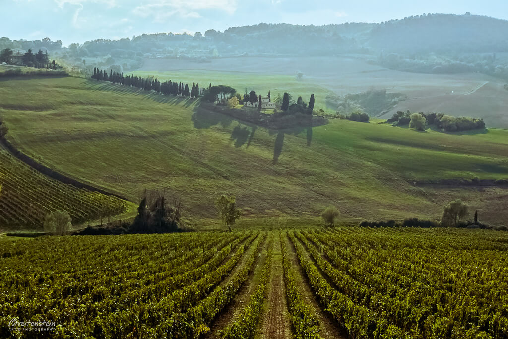 Photo of a Tuscan vista. Lower in the foreground are receding rows of vineyards. The center row directly points to the middle ground, a gently undulating hillside topped by a tree-lined villa, its shadows stretching towards the viewer. In the background is another atmospheric hillside, partly forested and hazy blue.