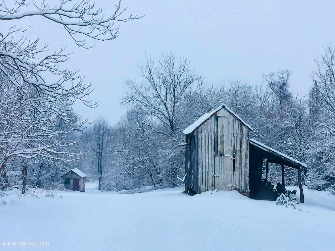 Photograph of a snowy, partly wooded rural scene in pale blues, with two large, old wood sheds. The trees are leafless, the branches laden with snow, and even the sky is completely overcast and a soft, pale blue that matches the snow.