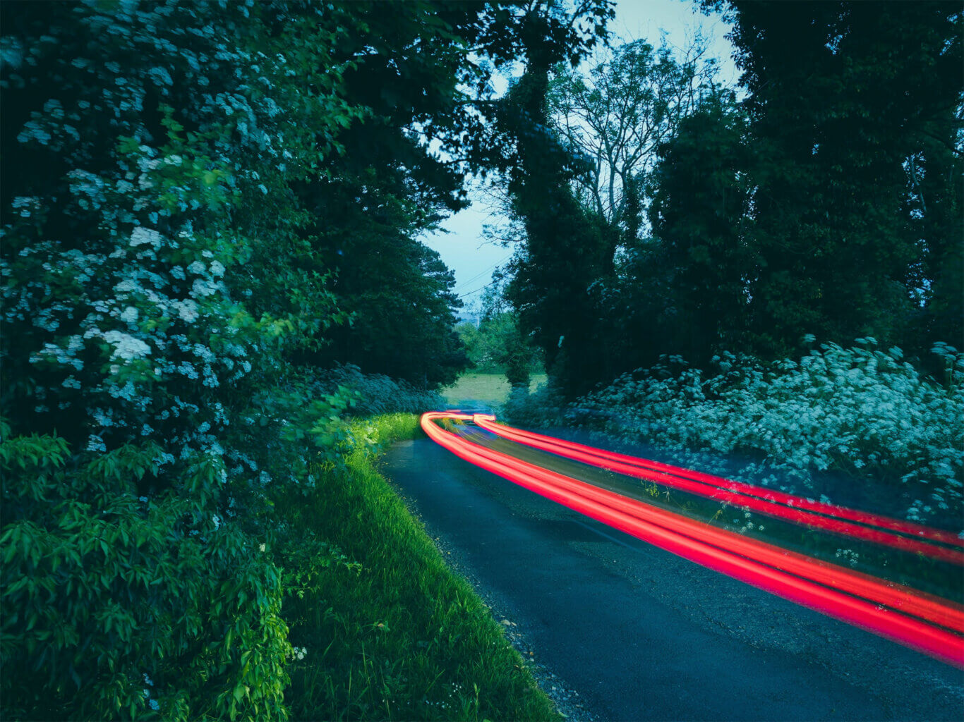 Long-exposure photo of a country road at dusk, surrounded by greenery and flowers, with the red tail lights from cars above the road.