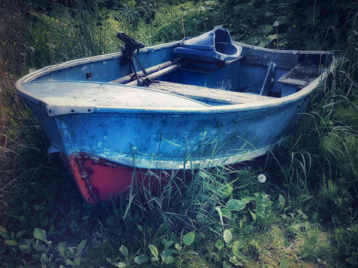 Photo of a small, aging, blue and red boat, sitting among weeds and tall grasses. The paint is peeling, and the photo has a soft, dreamy feeling.