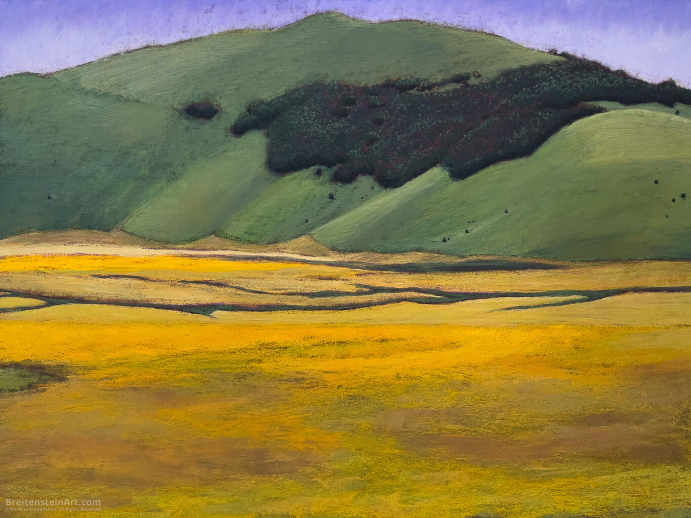 Photo of a painting of a mountain overlooking a valley. The mountain is shades of green, with a dark green forest spilling over the ridge and down across the middle. The valley is mostly in bright to dull yellows, and there is a fissure running laterally across it.
